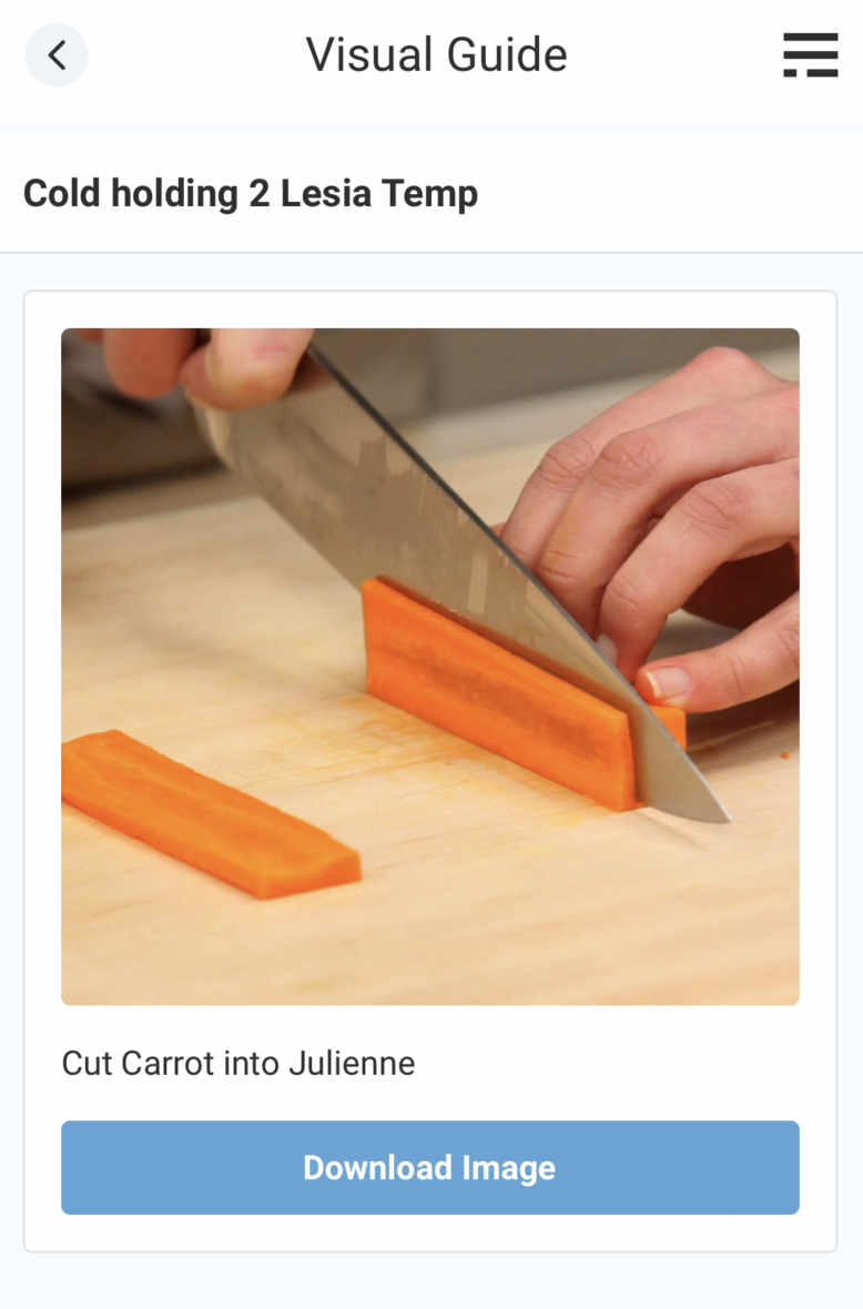 Visual Guide - Mobile.png